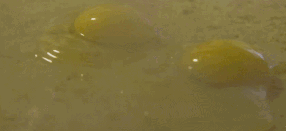 微信图片_20200212161841.gif