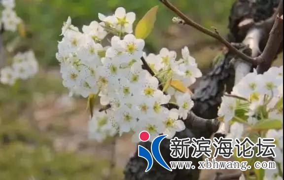 微信图片_20200212161836.jpg