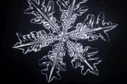 20200214_15974_1581659247819.gif