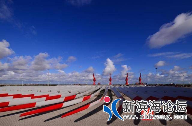 1581692161179fcapp_a53e1047-fd5e-4bc1-b02a-36c806dc58f6_1581686404893coverWaterMark.jpg