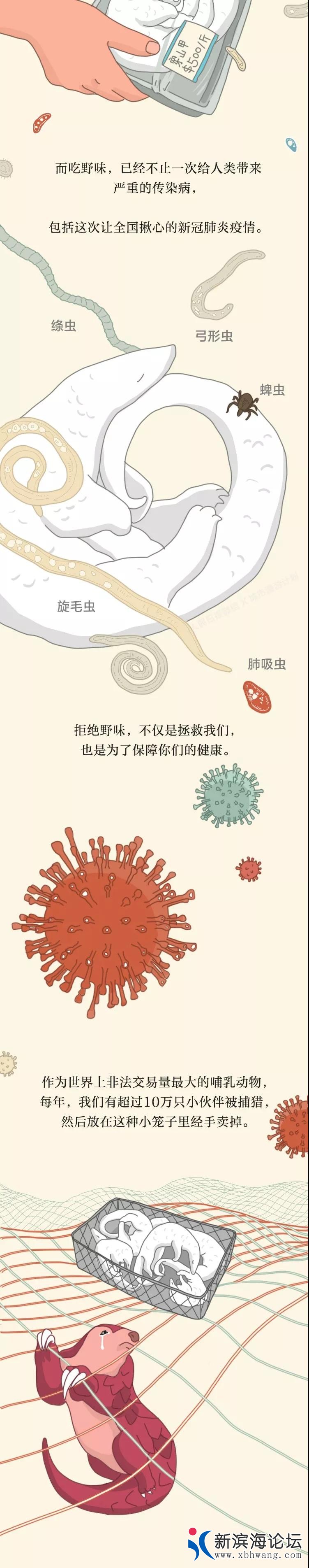 微信图片_20200215190945.jpg