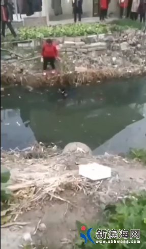 微信截图_20200225132849.png