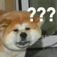 20200225_15974_1582633492227.png