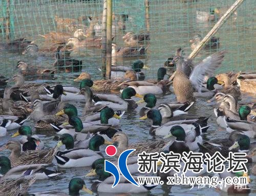 微信图片_20200227103943.jpg