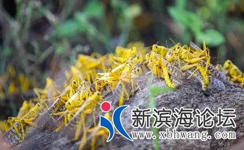 微信图片_20200227103946.jpg