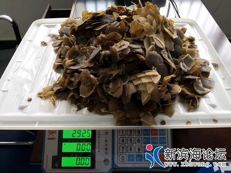 微信图片_20200301174155.jpg