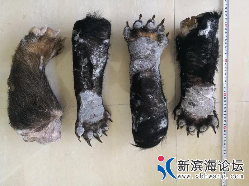 微信图片_20200301174139.jpg