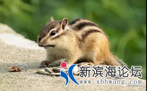 微信图片_20200302081729.jpg