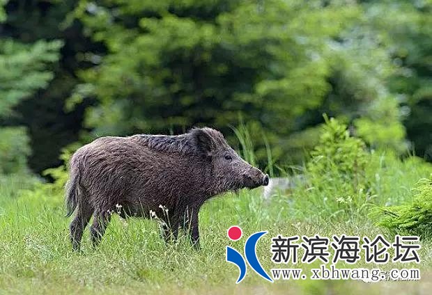 微信图片_20200302081731.jpg