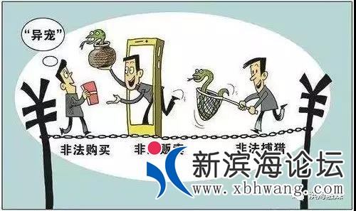 微信图片_20200302081741.jpg