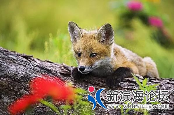 微信图片_20200302081736.jpg