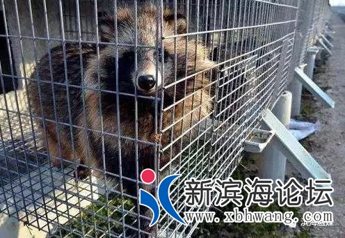 微信图片_20200302081739.jpg