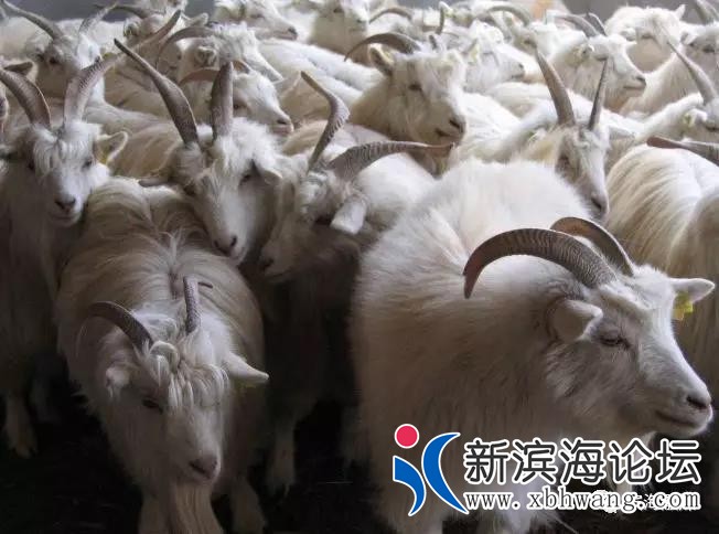 微信图片_20200302081732.jpg