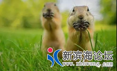 微信图片_20200302081737.jpg