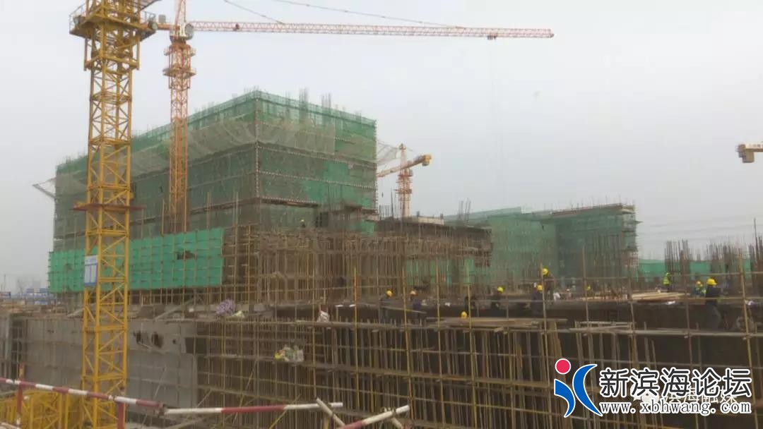 微信图片_20200316081516.jpg