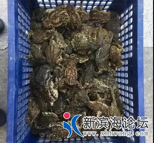 微信图片_20200324101540.jpg