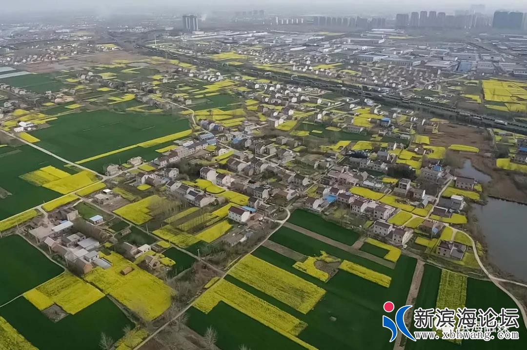 微信图片_20200409081641.jpg