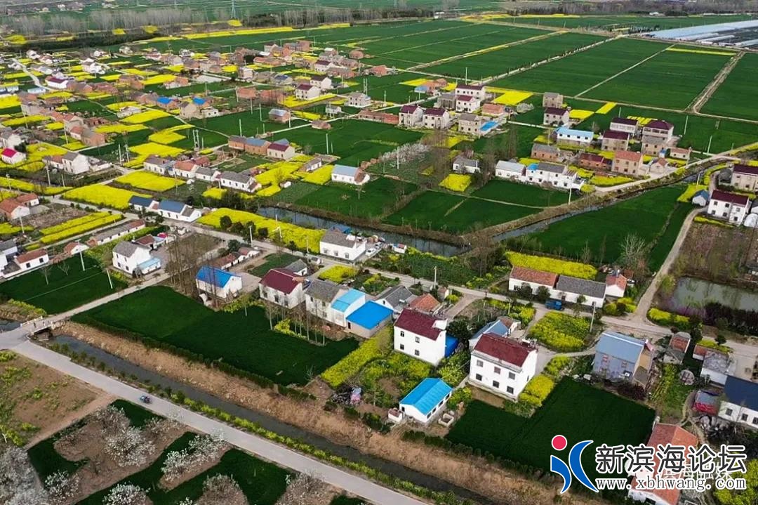 微信图片_20200409081652.jpg