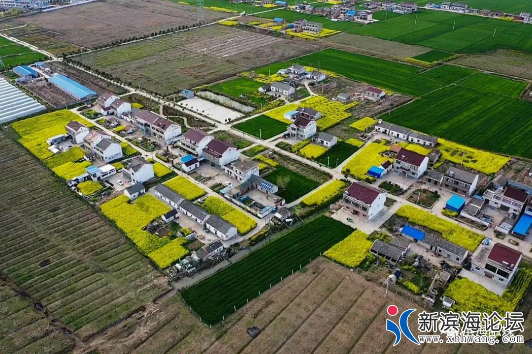 微信图片_20200409081648.jpg