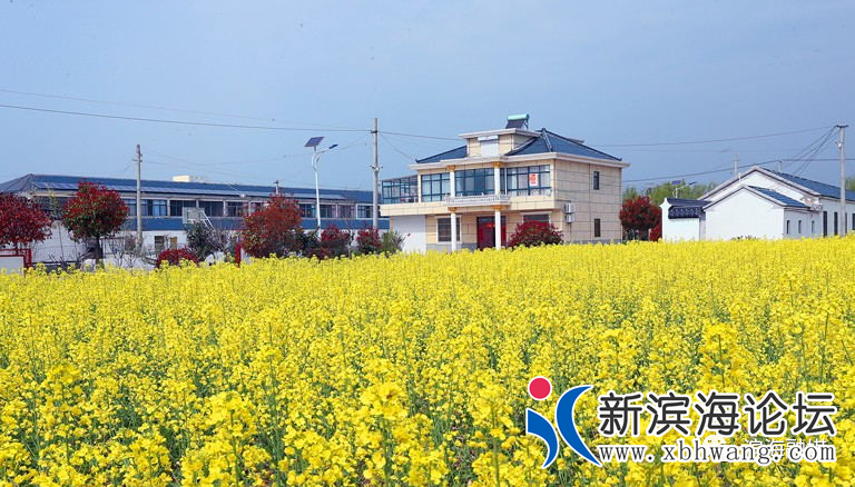 微信图片_20200415083330.png