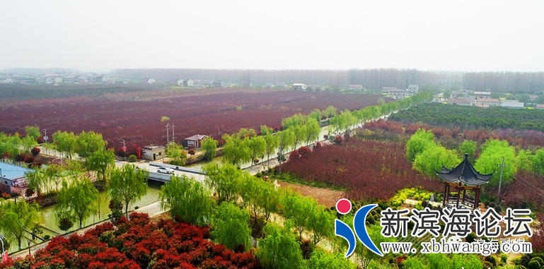微信图片_20200415083349.png