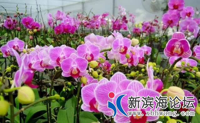 微信图片_20200415083555.jpg
