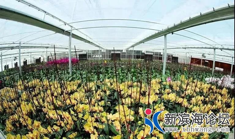 微信图片_20200415083558.jpg