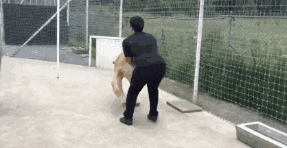 20200416_96622_1587029567988.gif