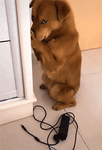 20200420_96622_1587353189993.gif