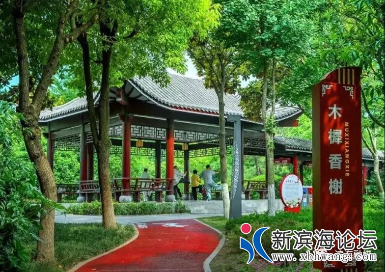微信图片_20200422081036.jpg