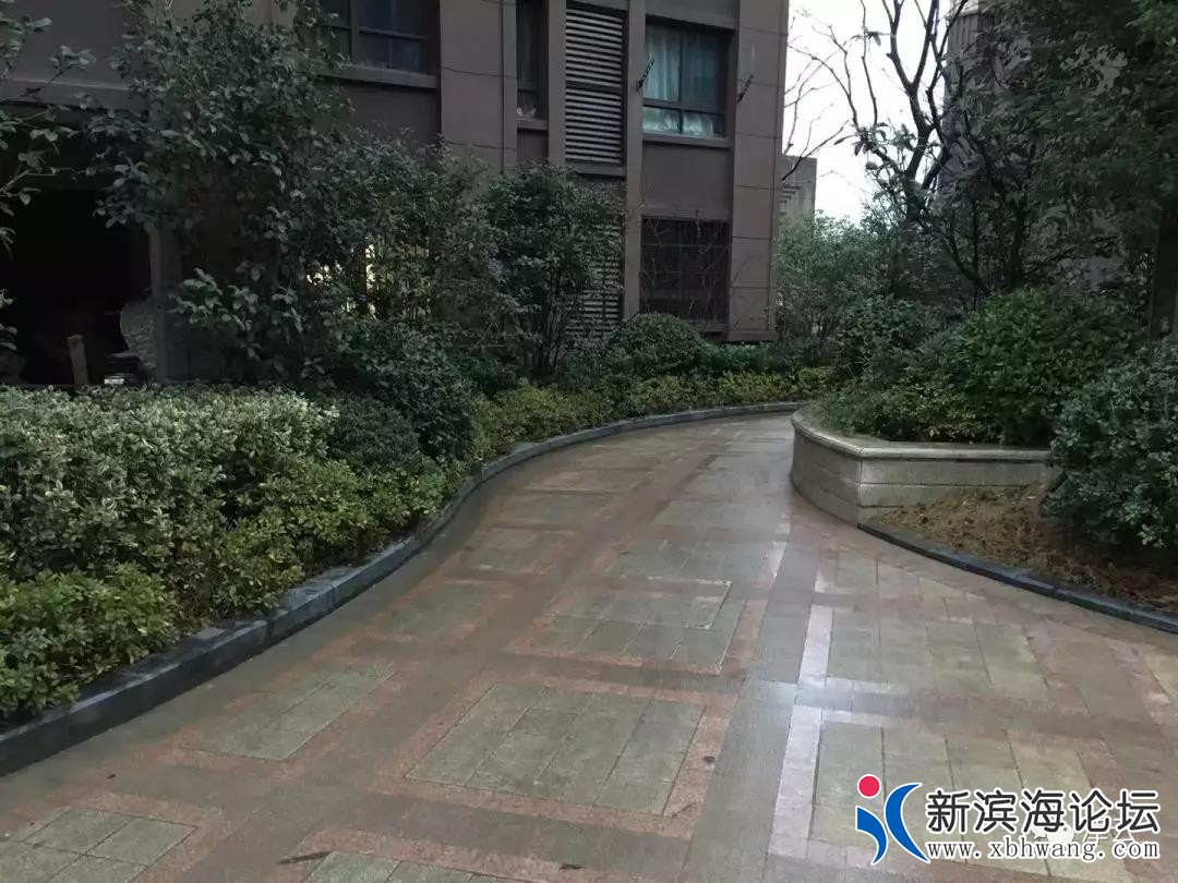 微信图片_20200423084016.jpg