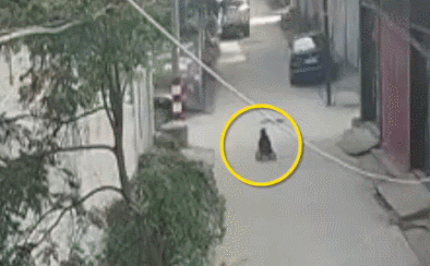 20200424_15974_1587697740281.gif