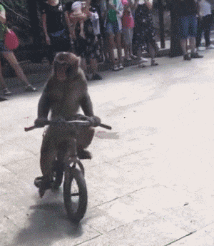20200424_96622_1587706449776.gif