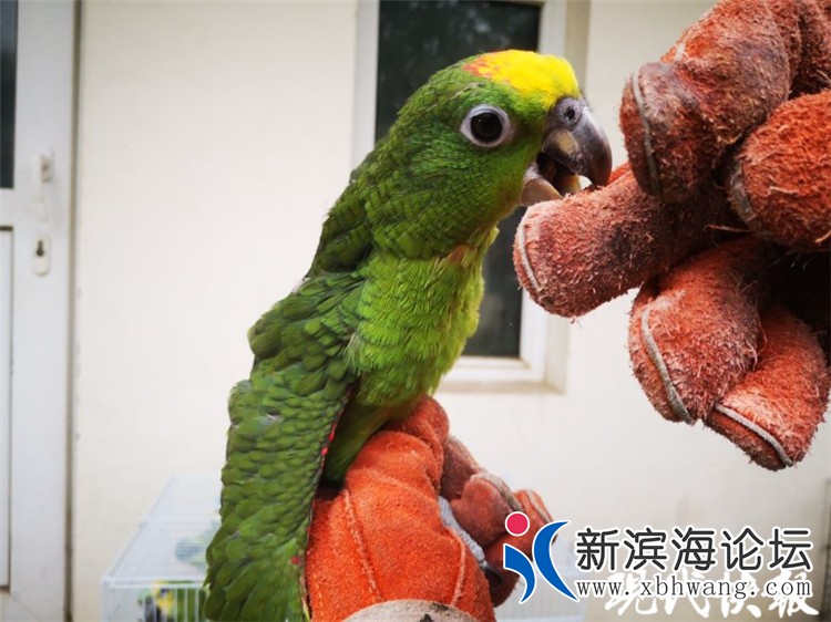 c85b76b455ba20108cce00.jpg