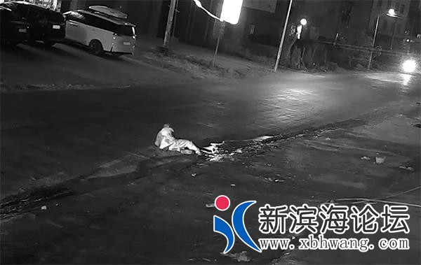 微信图片_20200428105648.jpg