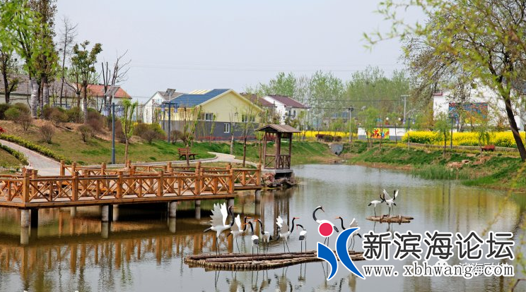 微信图片_20200502084154.png