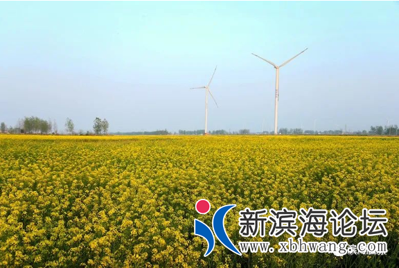 微信图片_20200502084213.png