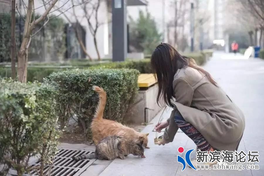 微信图片_20200502084422.jpg