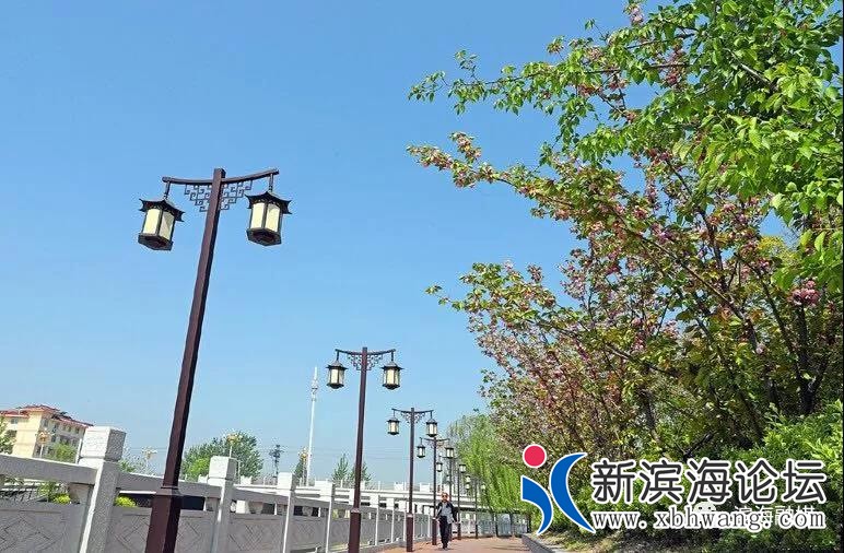 微信图片_20200504084956.jpg