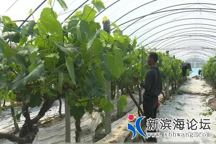 微信图片_20200507083129.jpg