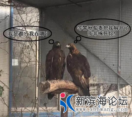 微信图片_20200510091148.jpg