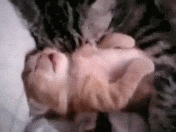 20200510_96622_1589074687879.gif