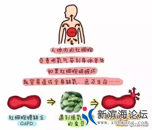微信图片_20200526112345.jpg