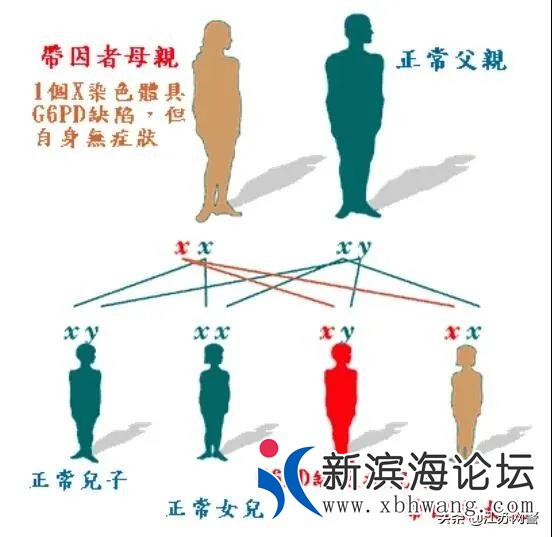 微信图片_20200526112347.jpg