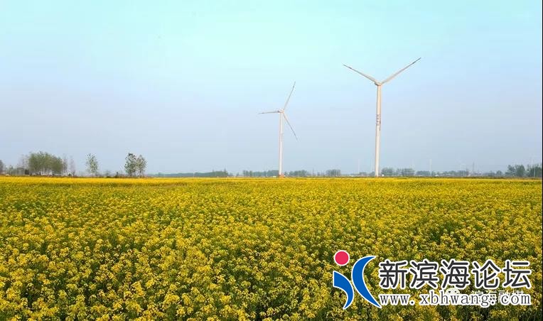 微信图片_20200527081804.jpg