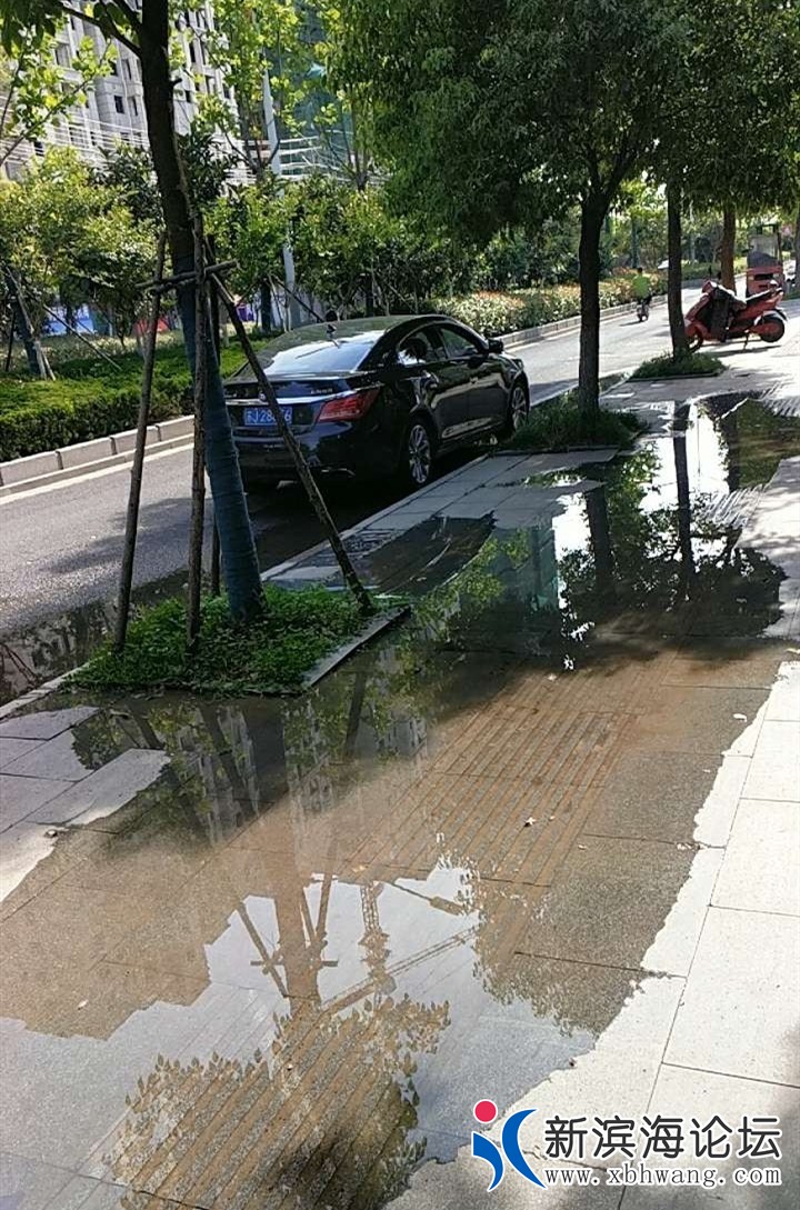 155420m6qnelibzzld7q66.jpg