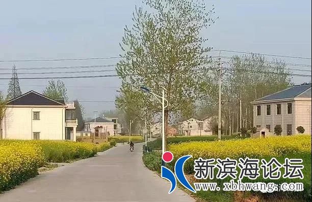 微信图片_20200602090851.jpg