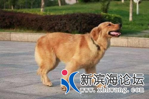 u=3892954919,2279633368&amp;fm=26&amp;gp=0.jpg