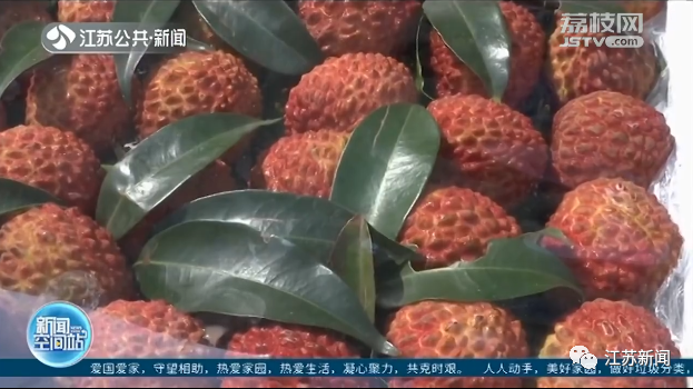 微信图片_20200603145814.png