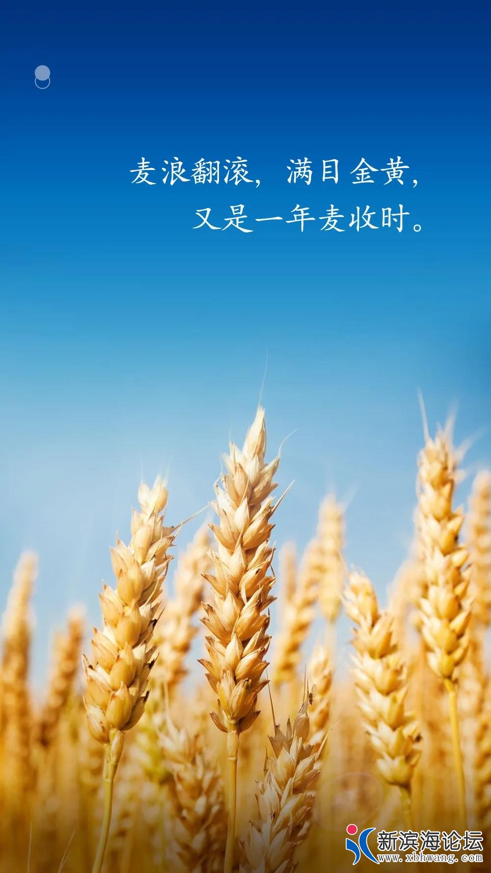 微信图片_20200606083138.jpg